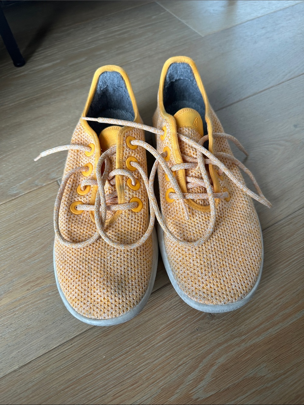 allbirds Women’s Tree Runner in Bright Orange